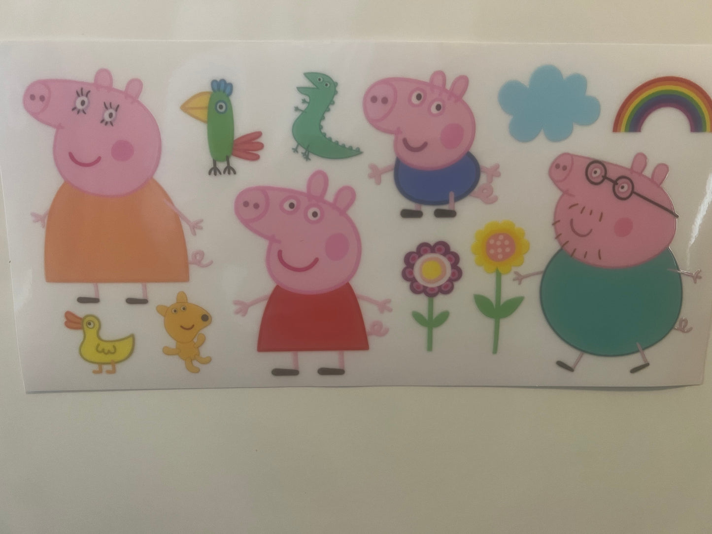 Peppa pip and family wrap