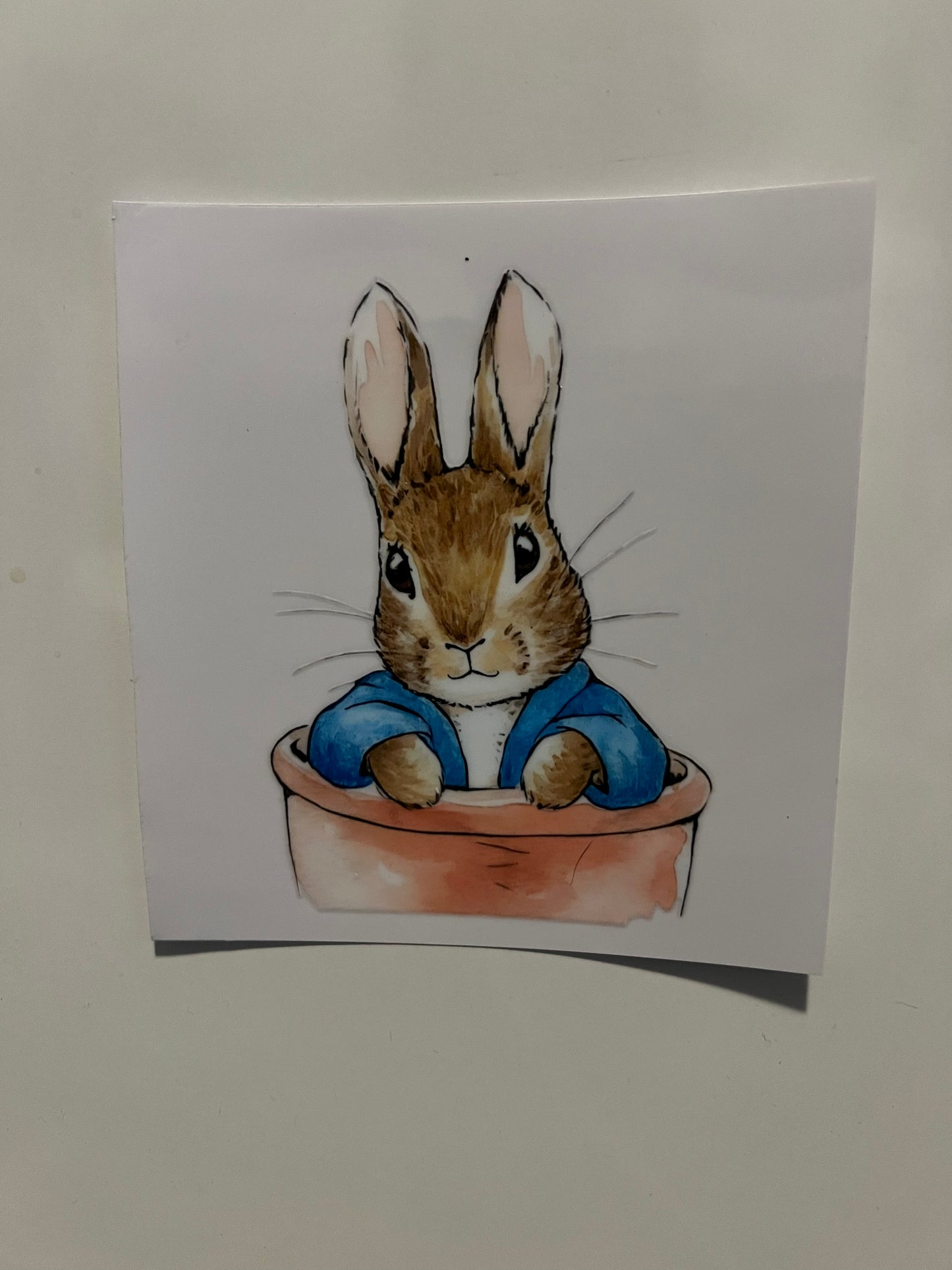 Peter rabbit decal