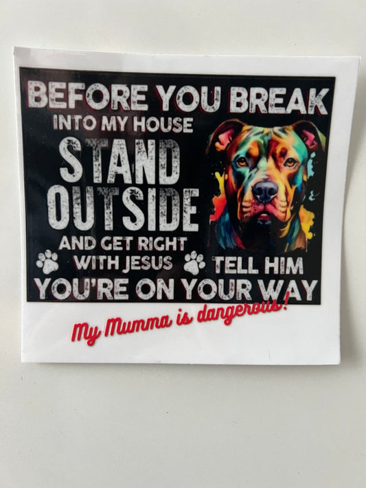 Before you break into my house decal