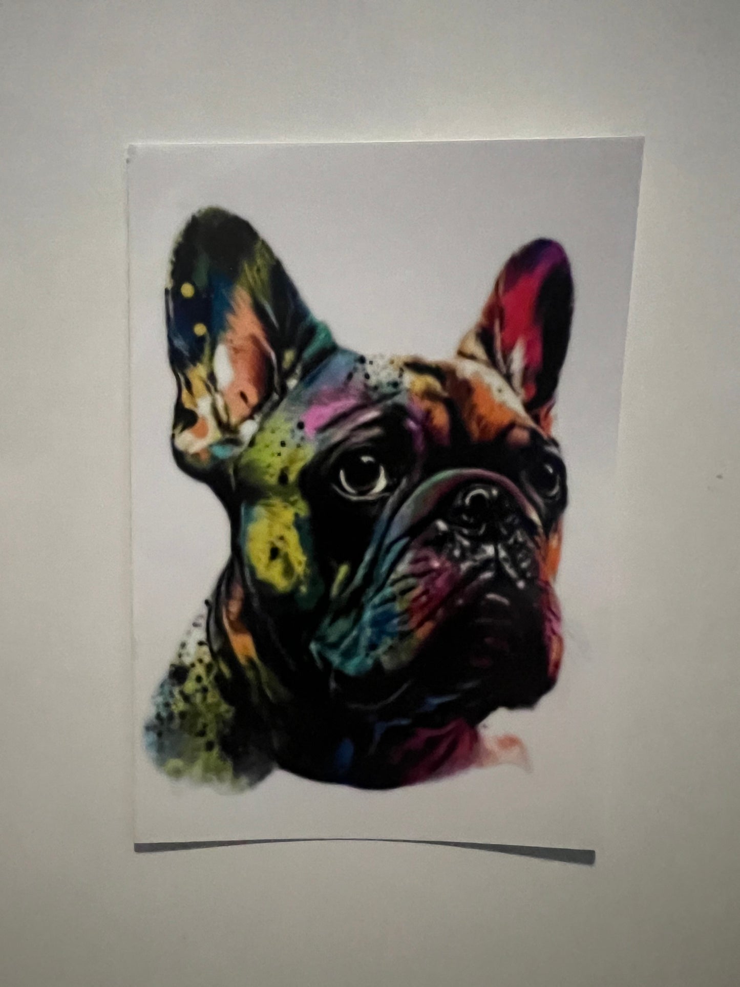 French bulldog decal