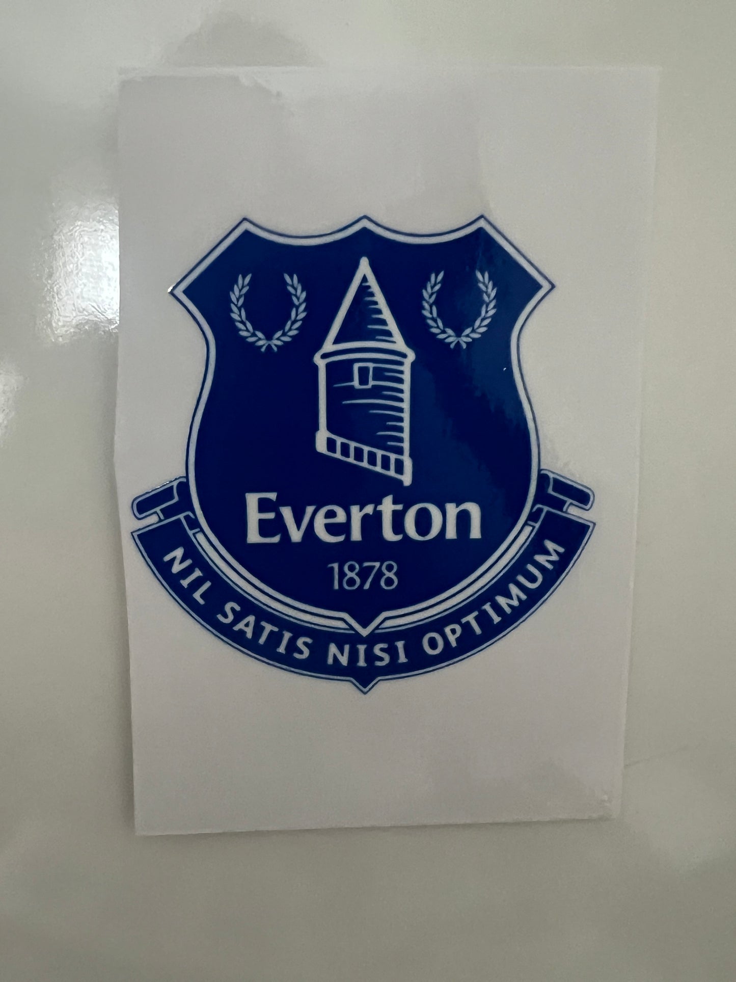 Everton football team decal