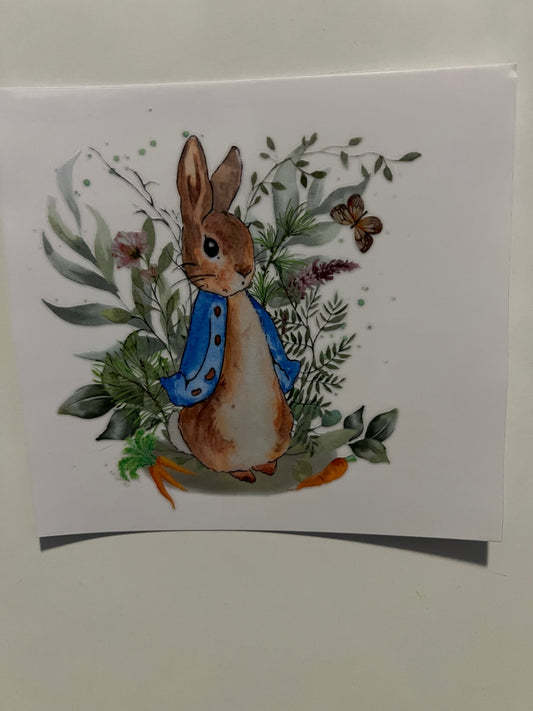 Peter rabbit decal