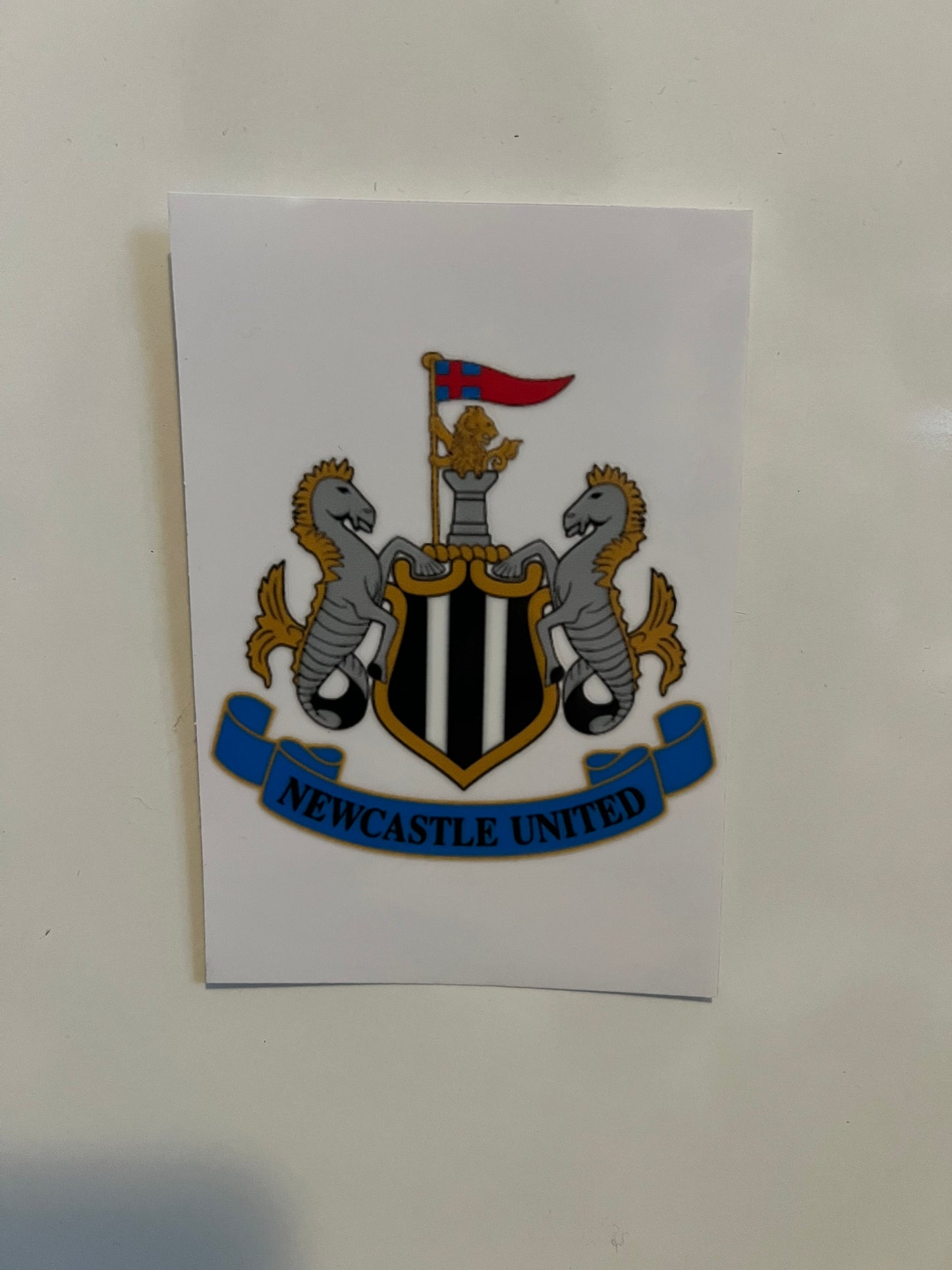 Newcastle United uvdtf badge (L)